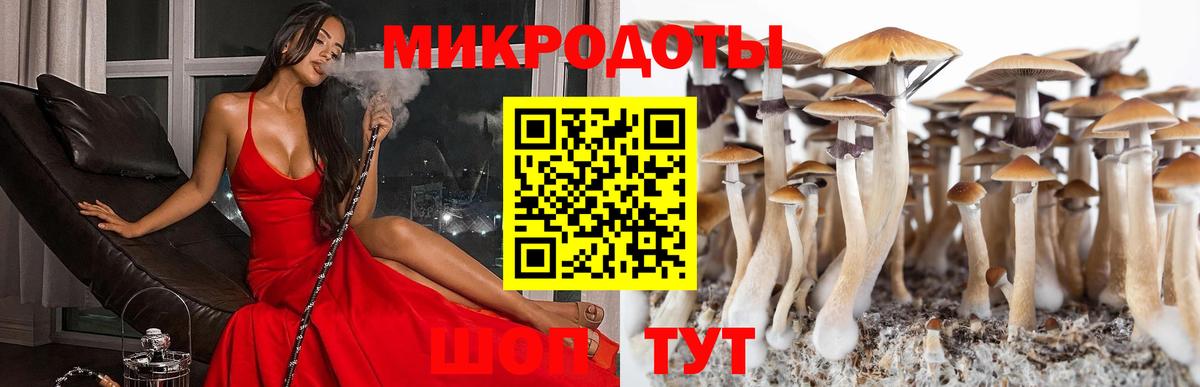 даркнет сайт  Галлюциногенные грибы Cubensis  Вход с VPN  Ефремов 